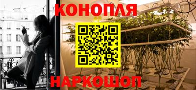 дурь Будённовск
