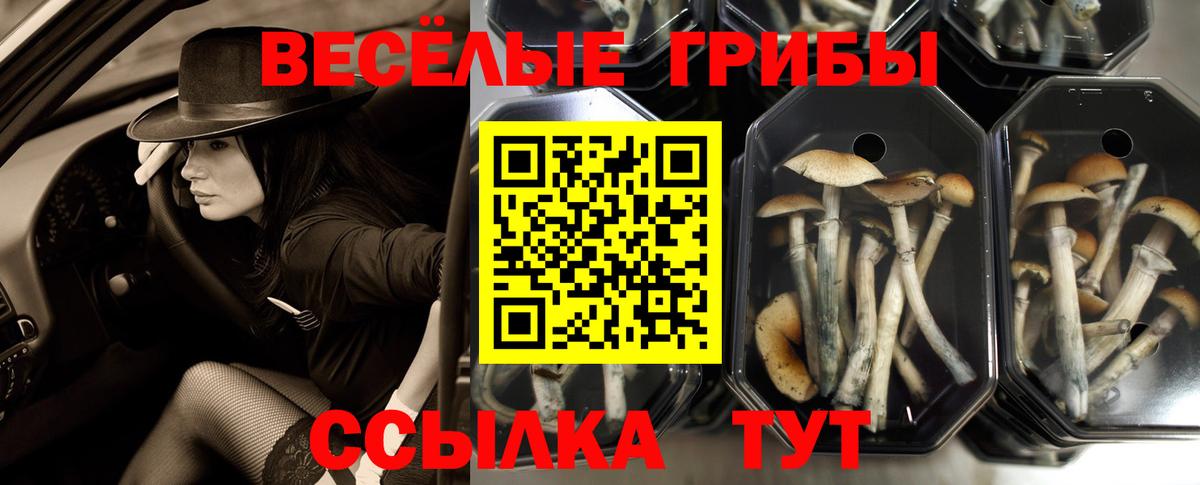 Галлюциногенные грибы мицелий Нефтекамск